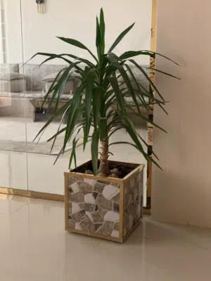 احوض اشجار سراميك ملكي داخلي مذهبه بالنيكل