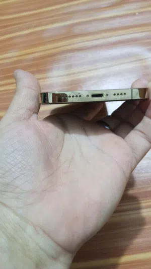 ايفون 12برو ماكس