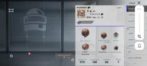 حساب ببجي البيييع