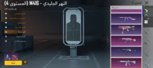 حساب ببجي للبيع وصف مهم