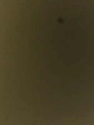 بدي بسه عمرها 2 أسبوعين بتفوت ع الحمام لون سكري او ابيض و اسكني سكوتش فولد تبني