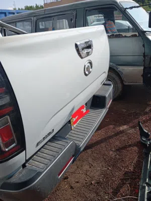 Great Wall . Poer . 2021 . Used0