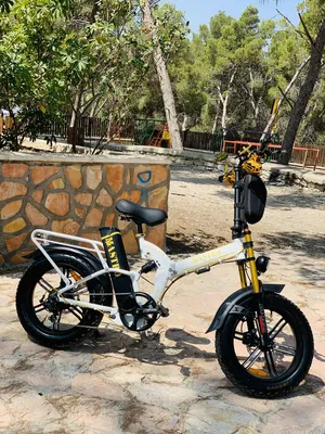 Electric Bicycles . New1