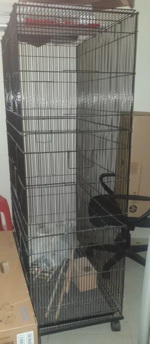 قفص طيور كبير جدا مع الملحقات Huge Flight Bird Cage + Accessories Moving Sale في الرياض