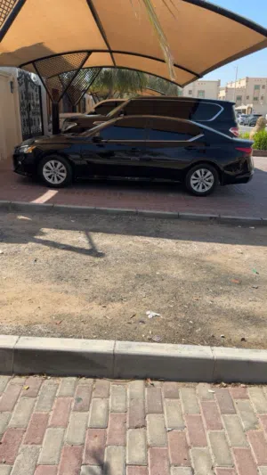 رنقات التيما (ستاندر)