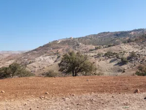 Farm Land for Sale in Salt Al Balqa'