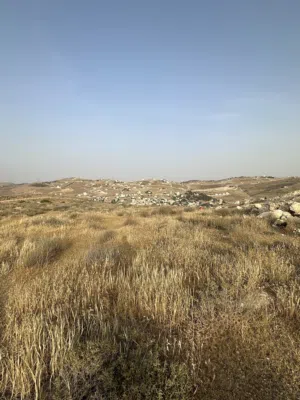 Residential Land for Sale in Zarqa Birayn