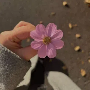 تواريخ 