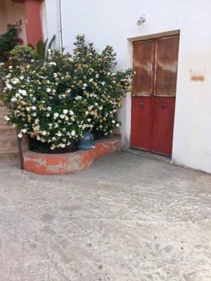 ‏سنوي ‏.‏ 70 م٢‏2