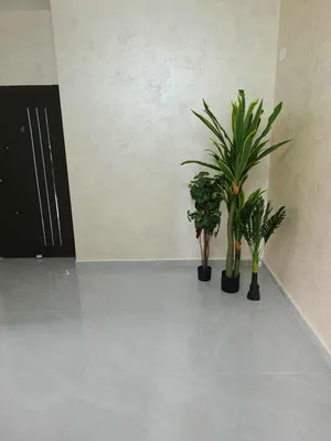 أكثر من 6 غرف . أكثر من 6 حمامات . 200 م٢4