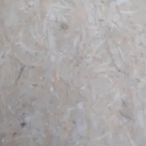هارون