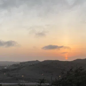 عهد 