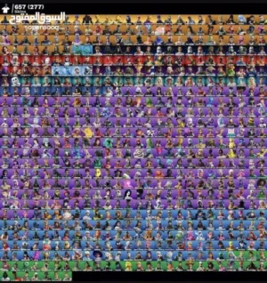 حساب فورت 657 سكن باقي تفصيل خاص