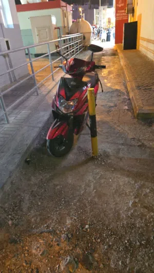 Scooter Annelawson