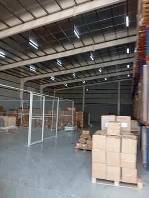 ‏2133 م٢ ‏.‏ الوسيط‏2