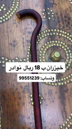 خيزران للبيع نوادر