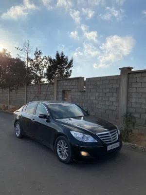 جنسس بيع ولا افاري