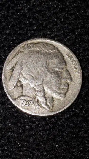 عمله البافلو الامريكيه النادره 1937 D اقراء مرفق بالصور شو سعر هذا البافلو في المزادات