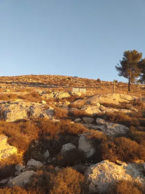 Residential . 700 m2 . Landlord0