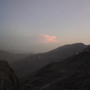 محمود 