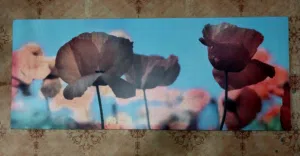 Wall decor for sale(IKEA)