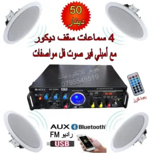 نظام صوتي للسقف