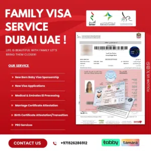 Company visa services
