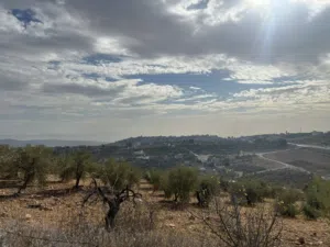 Mixed Use Land for Sale in Salt Al Balqa'