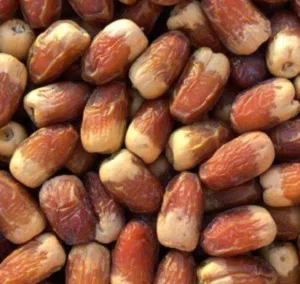 سح نغال جريجرو