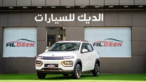 Dongfeng ex1 2023 نانو بوكس