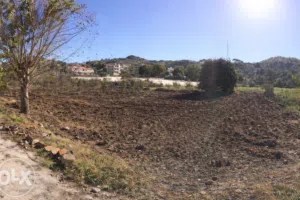 Land for Sale Ghineh Keserwan