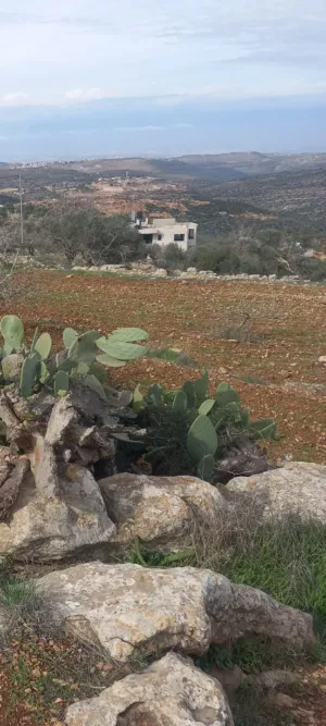 ارض-اطلاله-غربيه-للأبد