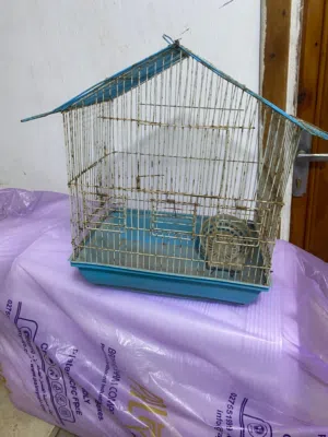 اقفاص عصافير عدد 4