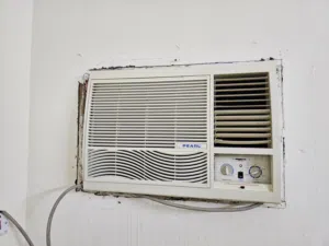2 Ton Pearl Window AC for Sale