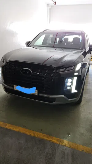 Hyundai Palisade Agency Maintained