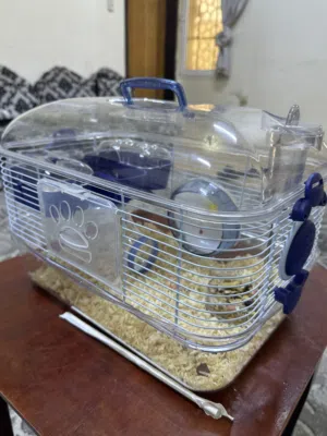 هامستر للبع