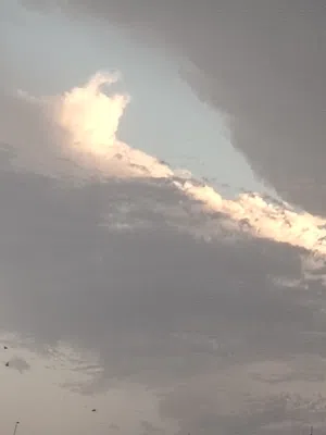ابو مرتضى الدراجي 
