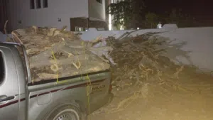 حطب للتنور بمناسبات العيد الاضحى