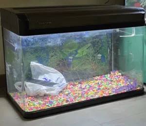 fish tank size 80+ 46