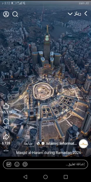 مدرس لغة عربية وقرآن كريم وتجويد عن بعد