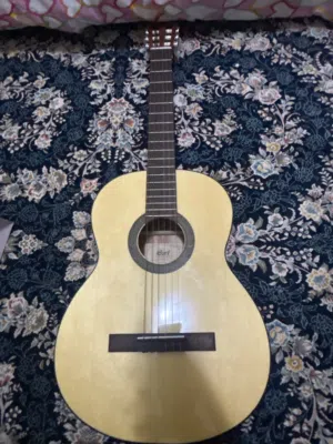 Guitar court