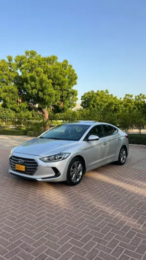 Used Hyundai Elantra in Muscat