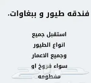 ‏خدمات العناية بالحيوانات‏2