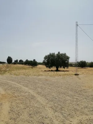 Mixed Use Land for Sale in Kasserine Other