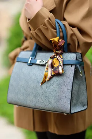 Other . Hand Bags . Other0
