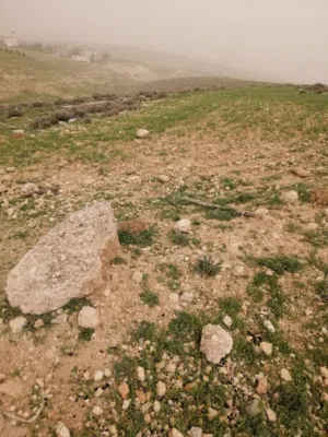 Mixed Use Land for Sale in Amman Birayn
