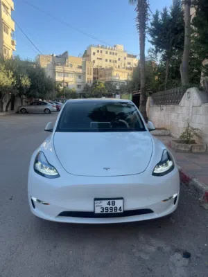 Used Tesla Model Y in Amman
