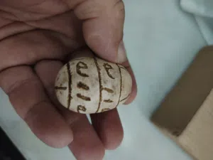 حجر نادر جداً