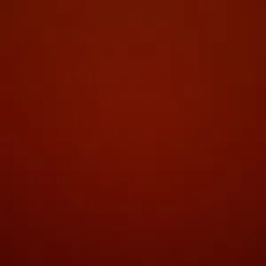 member-1699655642.6669713 