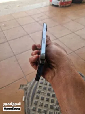 Apple iPhone 13 Pro Max 256 GB in Irbid